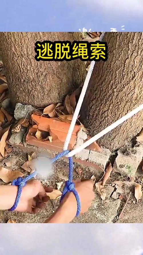 绑绳逃脱原理