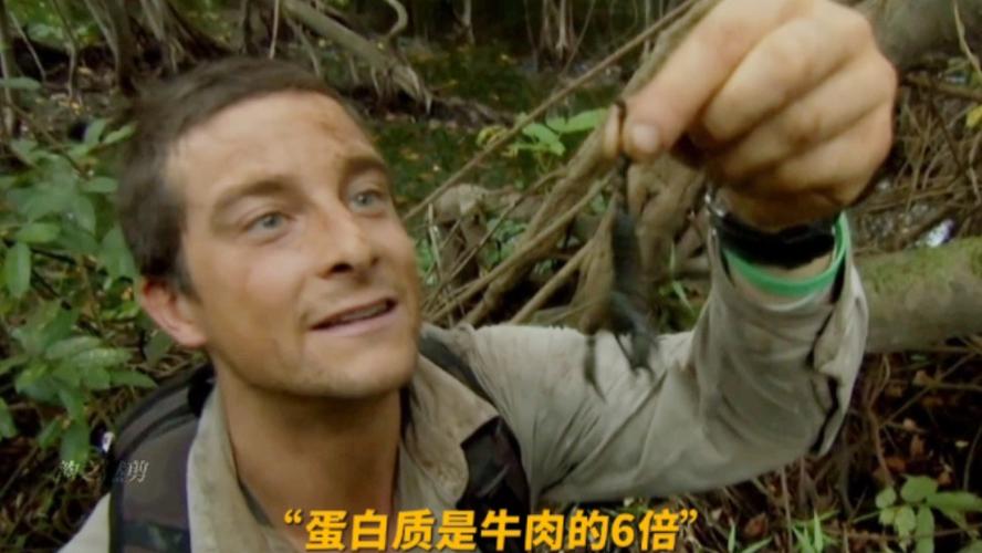 贝爷表情包图片大全