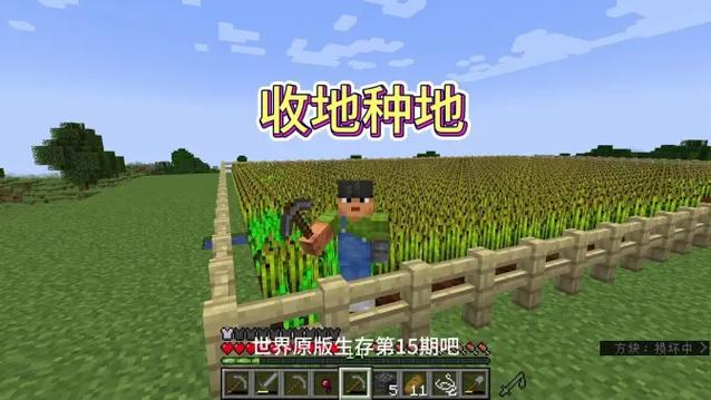 我的世界农民种地视频