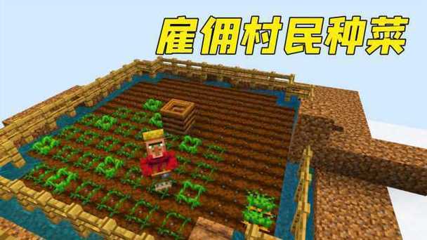 我的世界农民种地视频截图2