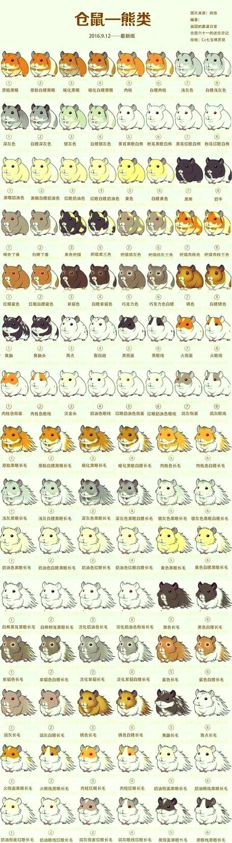 患有狂犬病的金丝熊症状