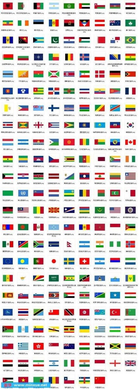 在哪些地方可以看到国旗