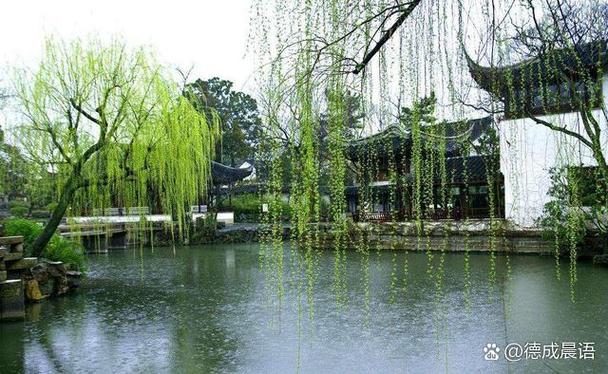 春雨,滴滴答答的,就像截图2