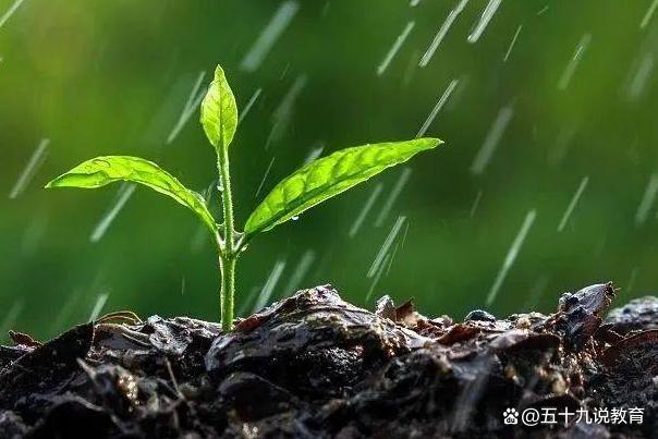 春雨,滴滴答答的,就像截图3