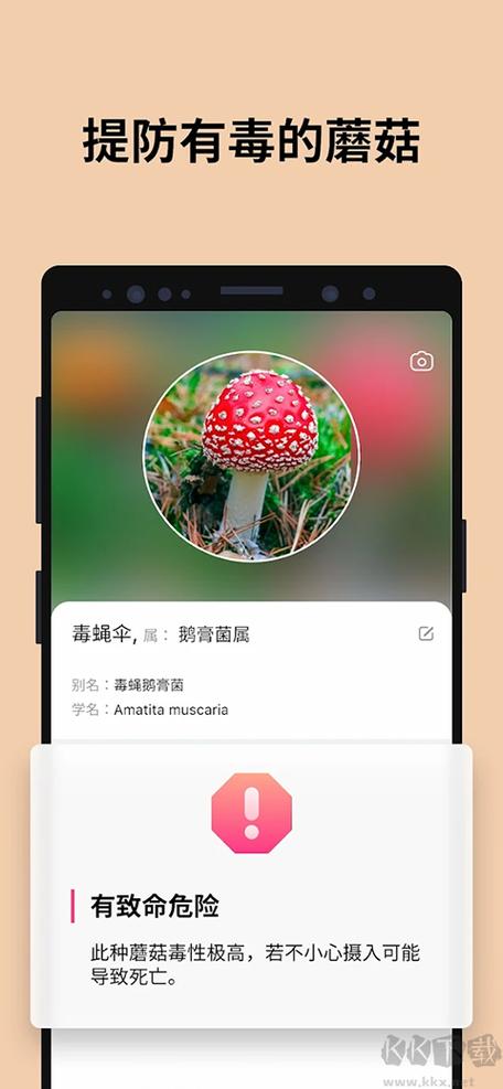 能识别蘑菇的软件截图2