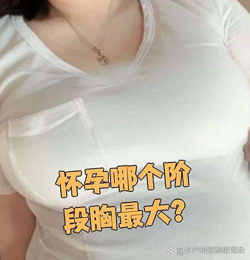 孕妇乳房变化图真人