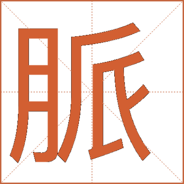 人脉的脉组词