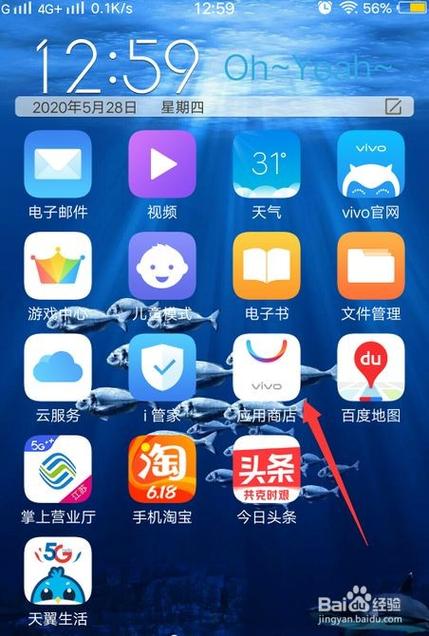 vivo手机应用商店下载软件密码