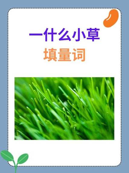 一什么冰花填量词一个