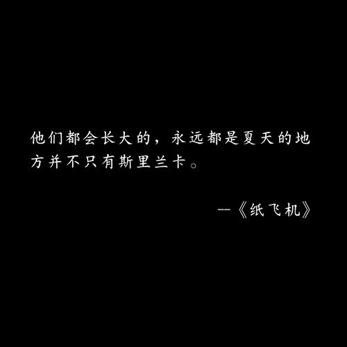 外国纸飞机聊天app