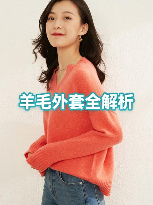 800一件羊毛大衣贵不贵
