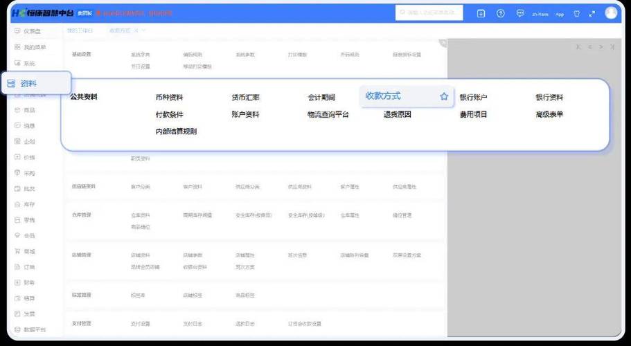 新中大财务软件报表处理系统