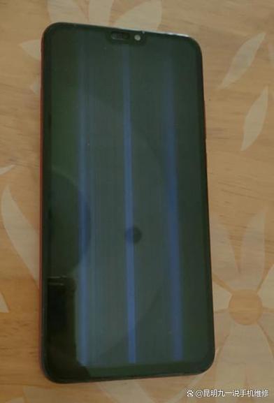 手机进水了黑屏但是能闹铃