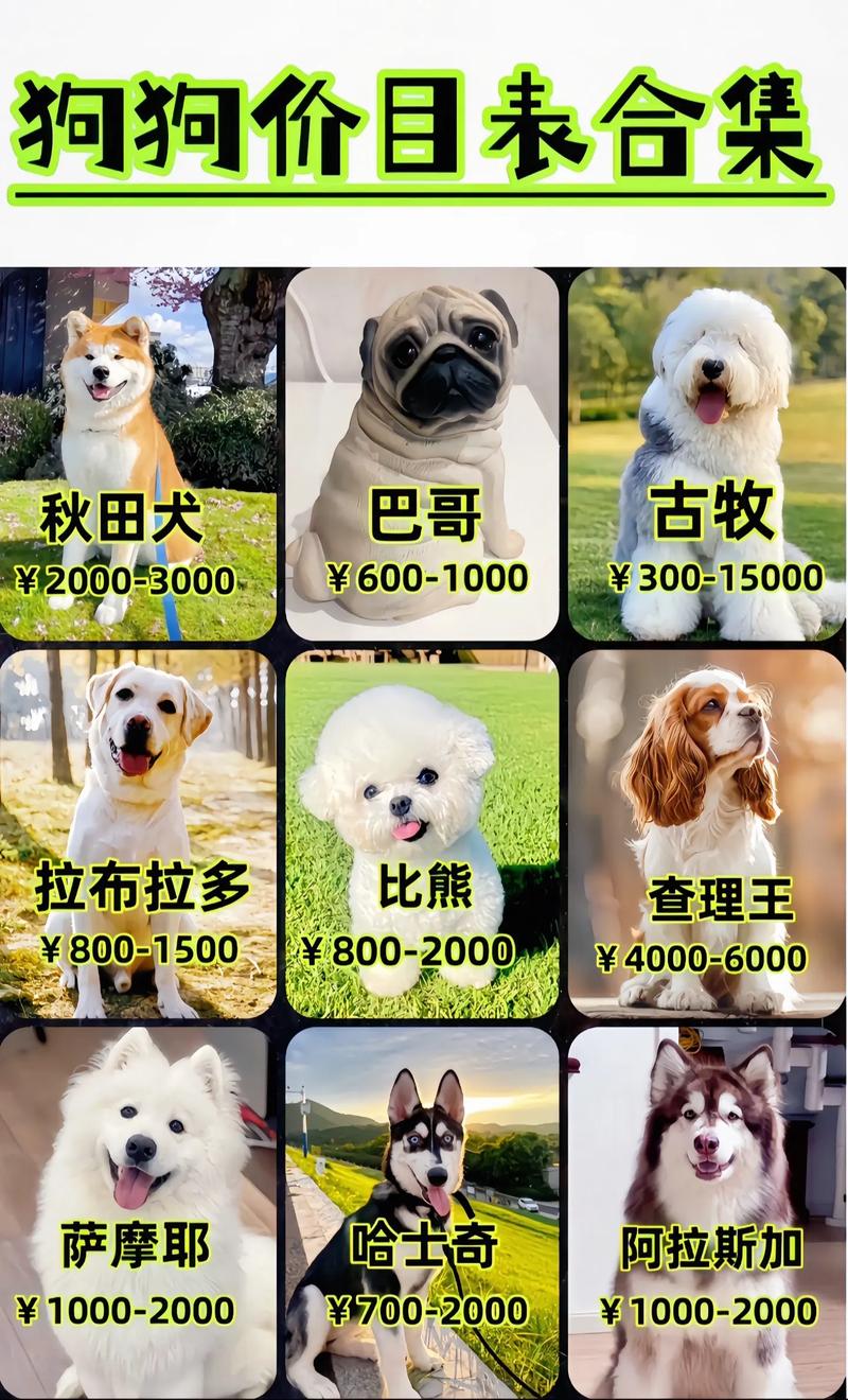 捞月狗提现比例多少 捞月狗提现比例多少