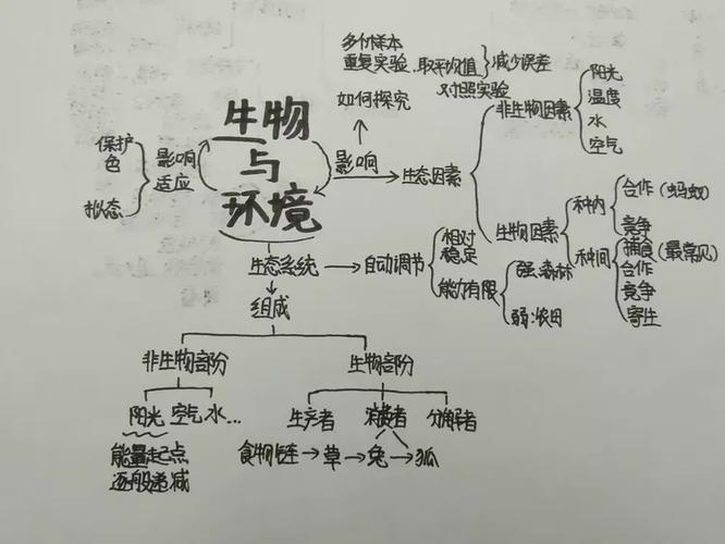 七年级上册生物思维导图 第一节