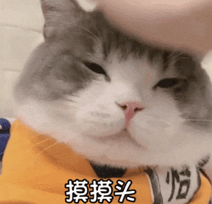女生发摸摸头表情含义