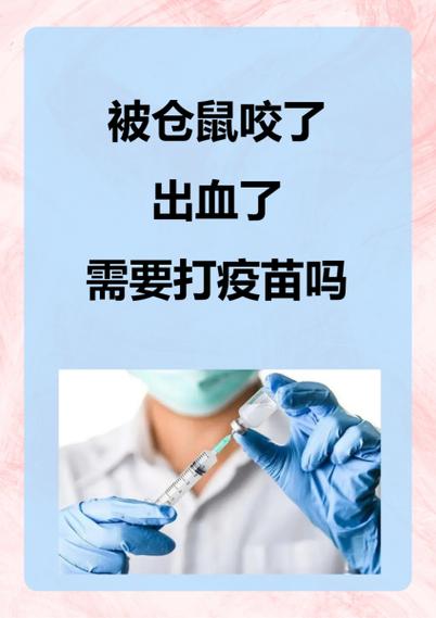 把仓鼠弹晕了怎么办 把仓鼠弹晕了怎么办