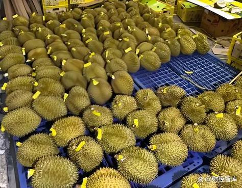 摆地摊3种水果最挣钱