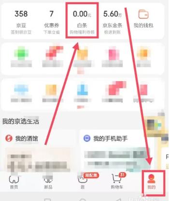 怎么查看白条每月虚拟限额