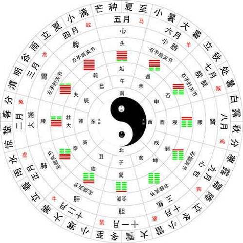 十二时辰口诀顺口溜
