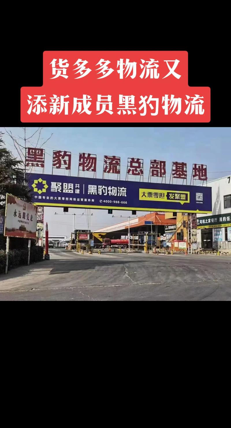 黑豹物流属于什么档次