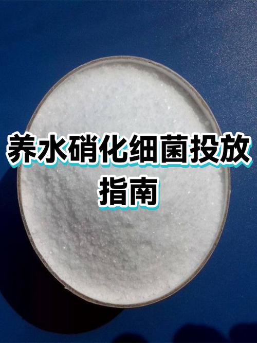 鱼缸硝化细菌和益生菌可以一起用吗截图2
