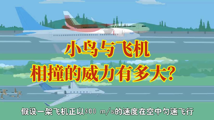 飞机解除群组限制