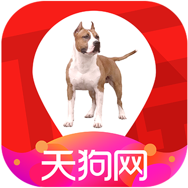 大商天狗网不一样的逛街方式