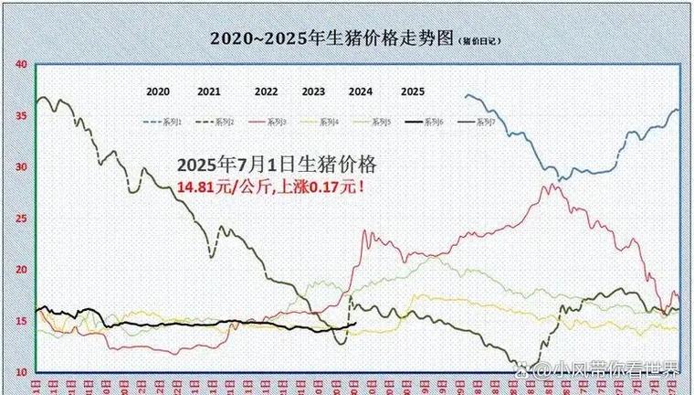 现在小猪仔是什么价格截图2