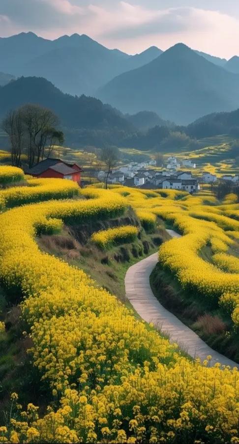 花图片大全自然风景