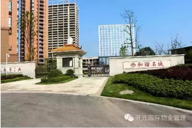 城言国际怎么样 城言国际怎么样
