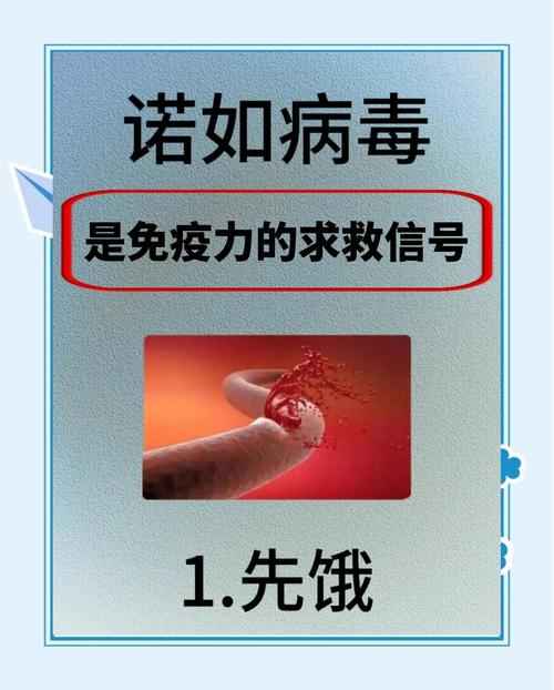 nomedia文件是病毒吗