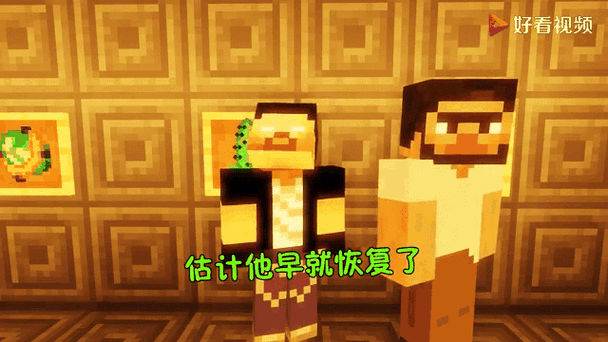 实体303和Him的关系
