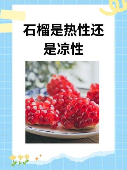 石榴属凉性还是热性