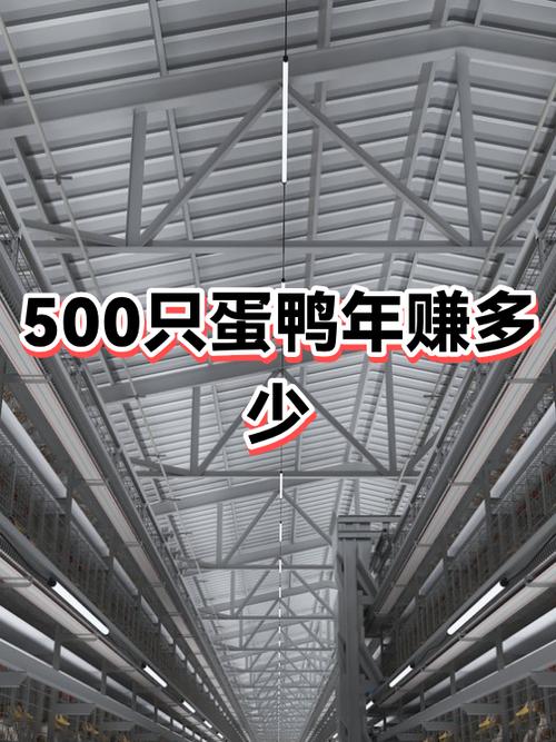 当鸭子的收入多少