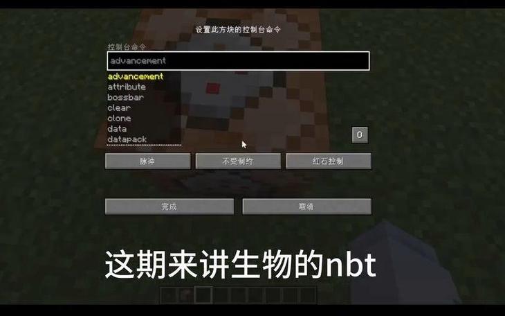 我的世界NBT标签指令