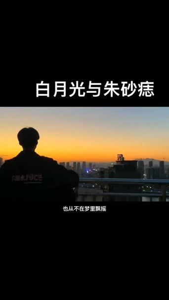 心口朱砂痣,梦里白月光