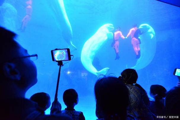 steam深海搁浅怎么设置中文