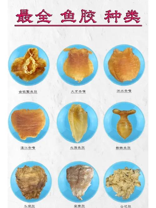 鱼胶保存的时间是越久越好吗