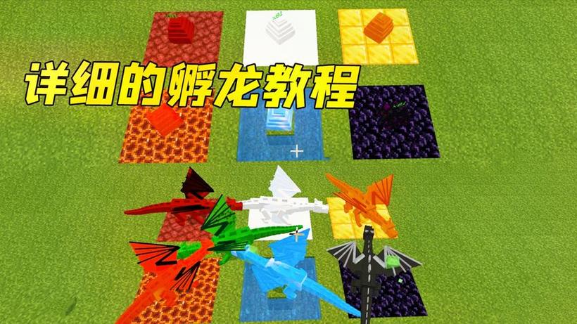 我的世界网易版能孵化龙蛋吗