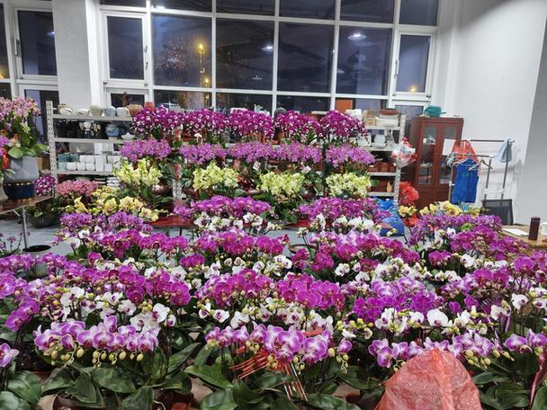 卖花卉赚钱吗