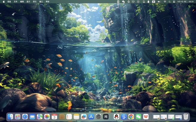 wallpaper提取原图无广告版截图2