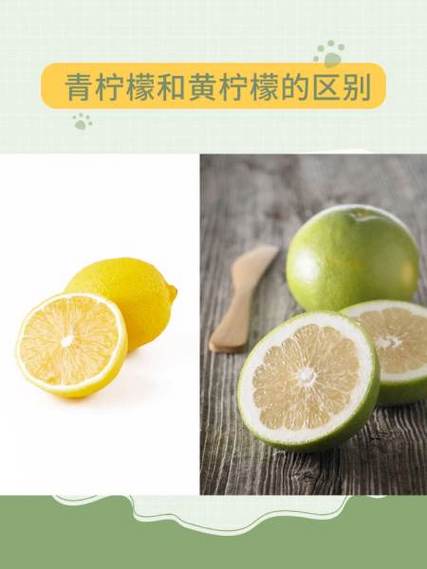 青柠檬贵还是黄柠檬贵