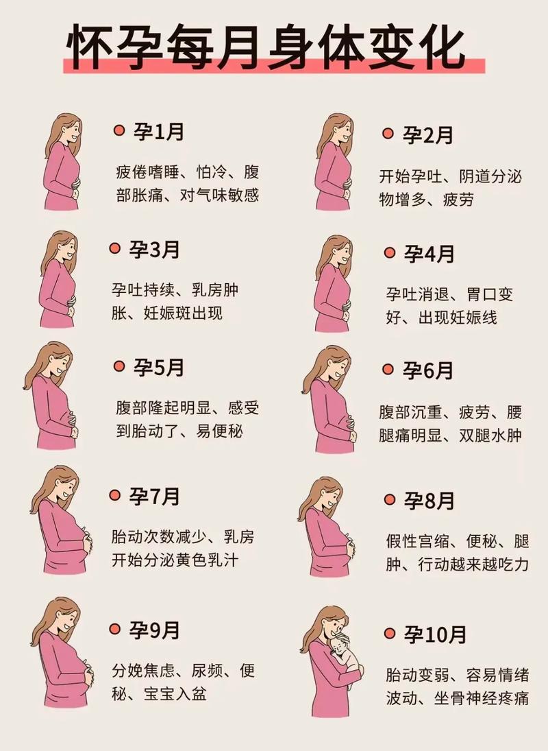 孕妇10月怀胎图 孕妇10月怀胎图