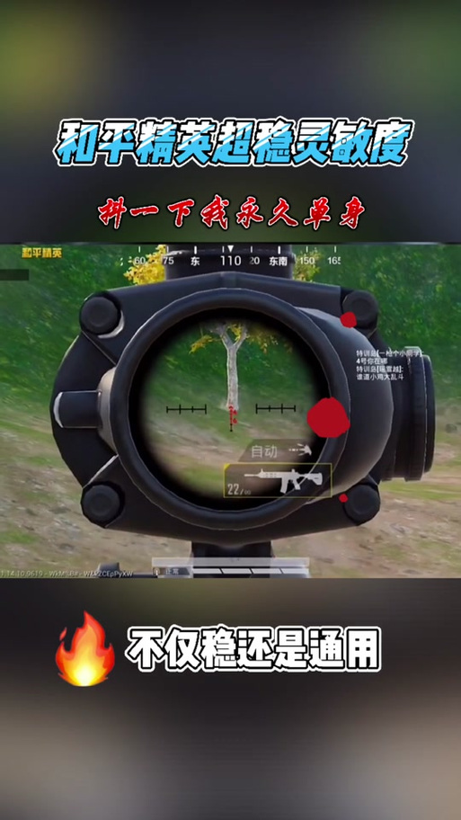 吃鸡开了陀螺仪不能用
