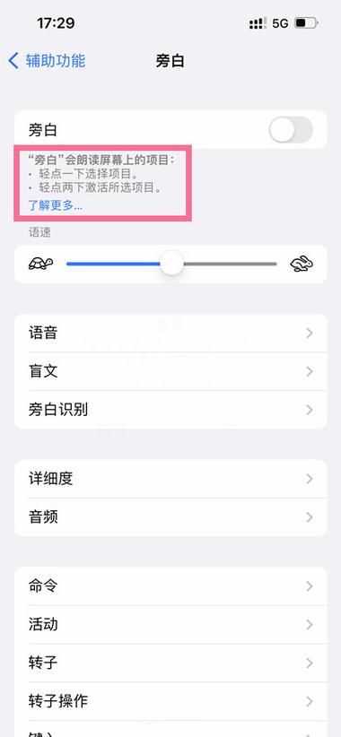 苹果13旁白模式怎么关闭快捷键设置截图3