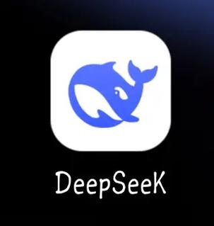 deepseek官网免费使用截图2