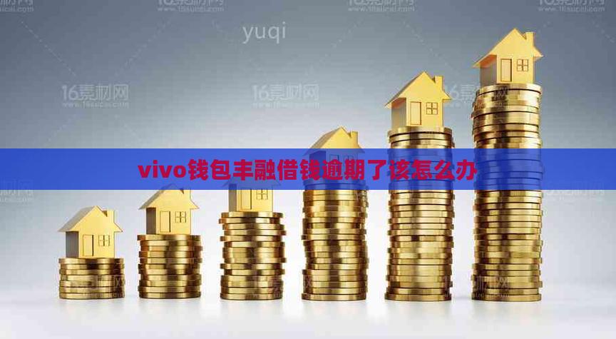 vivo钱包丰融借钱官网