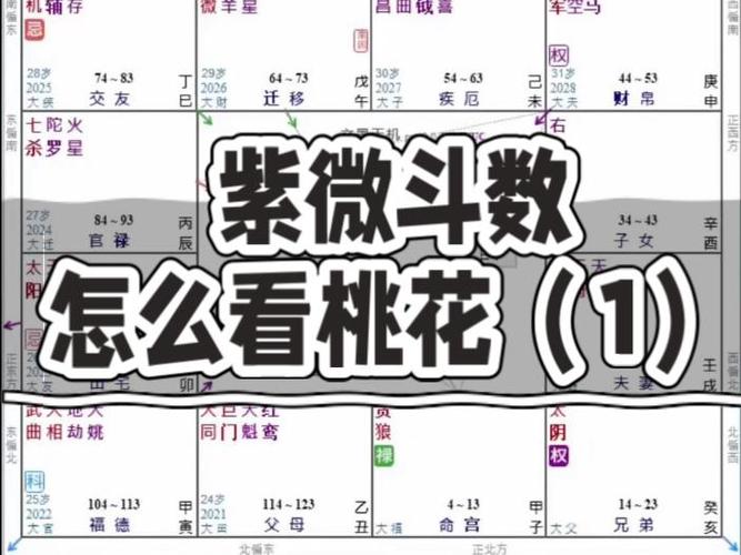 紫微斗数看桃花出现的时间