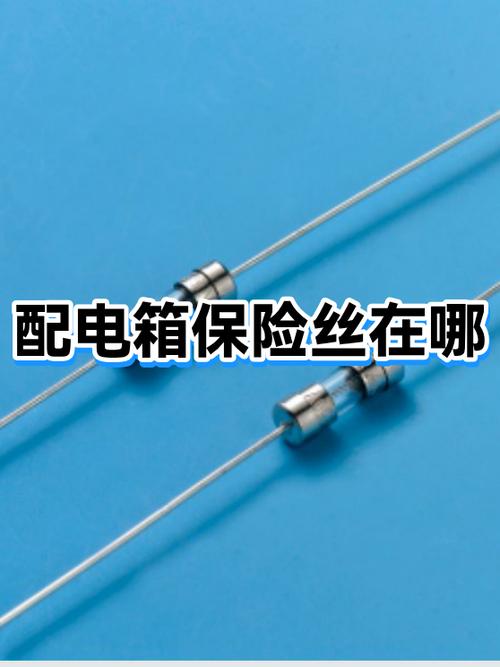 小米电热水壶保险丝在哪